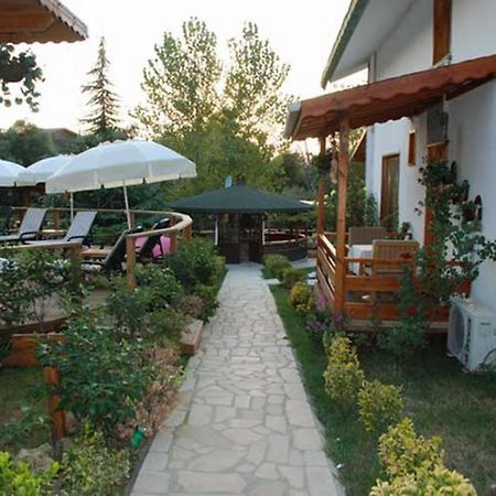 Treetops Park Hotel Ağva Eksteriør bilde
