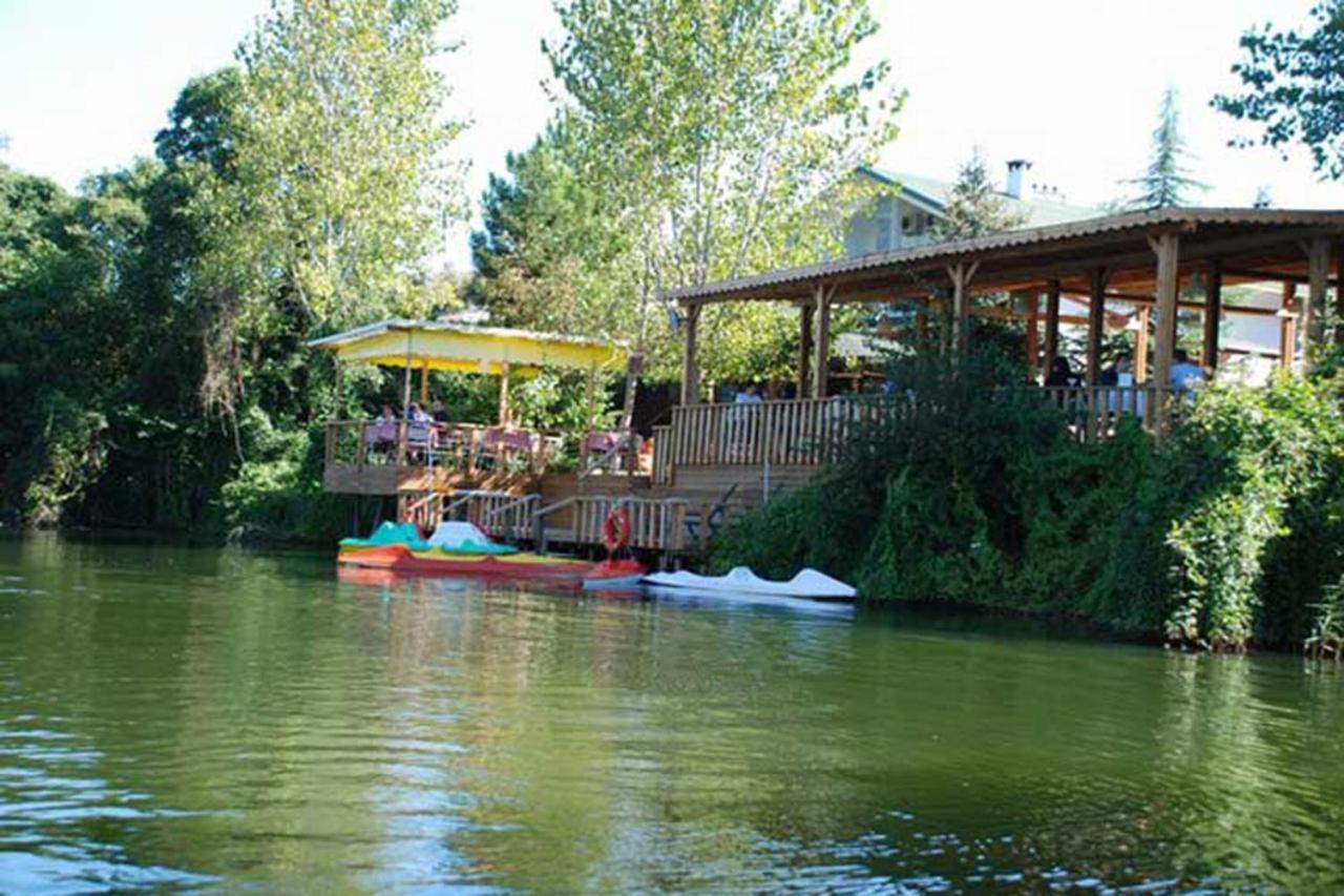 Treetops Park Hotel Ağva Eksteriør bilde