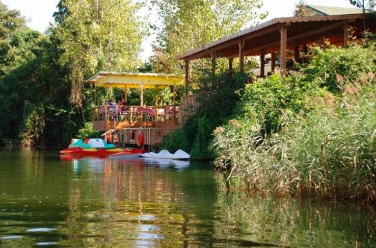 Treetops Park Hotel Ağva Eksteriør bilde
